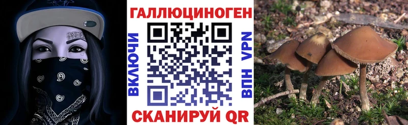 даркнет официальный сайт  Коркино  Псилоцибиновые грибы мицелий  купить наркоту  мега зеркало 